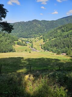 Photo from Andreas Schneider 7 along the tour