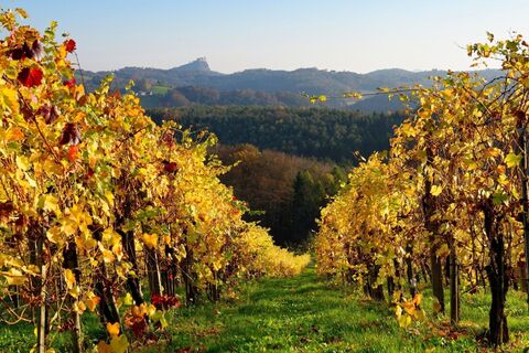 Herbstlicher Ausblick auf die Riegersburg
