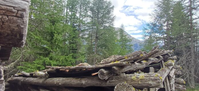 Fotografija s spletne strani Magnus Thurnes na poti