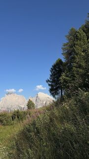 Fotografija s spletne strani Rhiannon Marr na poti