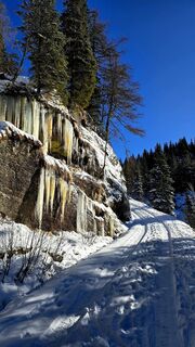 Fotografia z 〽️anni.bb na trase