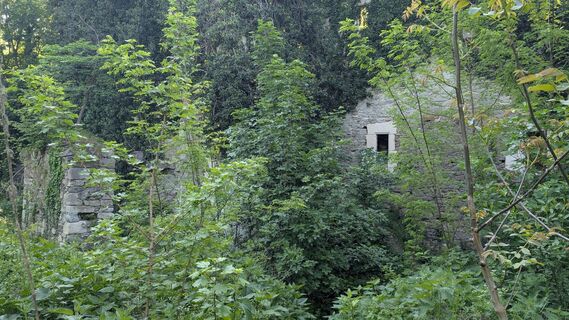 Fotografija s spletne strani Jele Hannes na poti