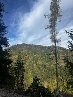 Fotografija s spletne strani tabaszabi na poti