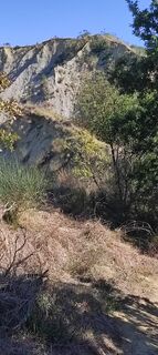 Photo de Brigitte Scheuffele le long du parcours