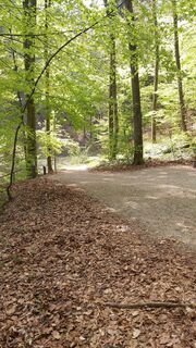 hier weiter, Wanderweg Luisenhöhe