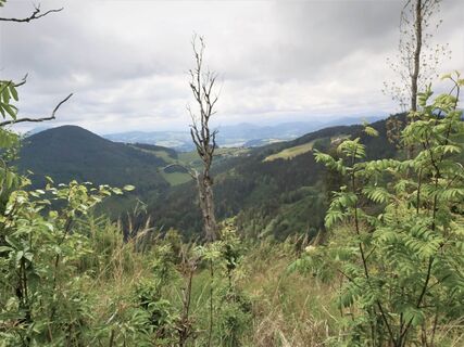 Ausblick vom Zetz_Naturpark Almenland_Oststeiermark