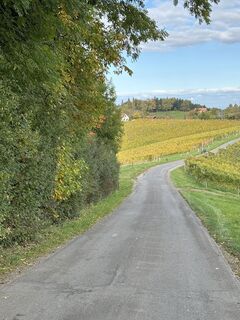 Foto de Andreas Ohrfandl a lo largo del recorrido