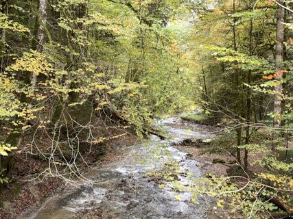 Foto von Kurt Rieder entlang der Tour