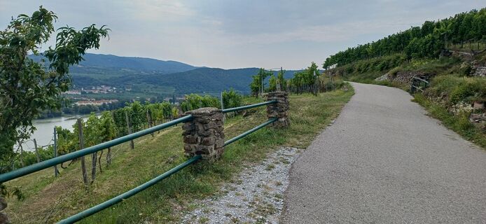 Fotografia z Ewald Reil 1 na trase