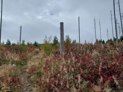 Foto von Jens Gebauer entlang der Tour