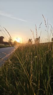 Foto von Susanne Genswein entlang der Tour