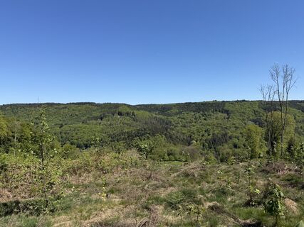 Photo de Keven Schimberg le long du parcours