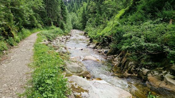 Fotografia z Gerrit van der Linde na trase