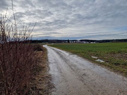 Photo de Felix le long du parcours