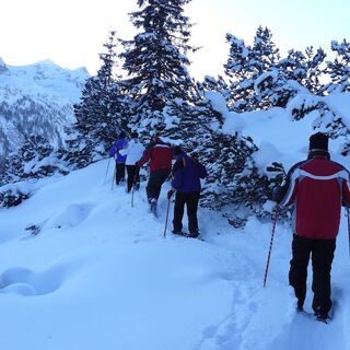 Weg zur Alm