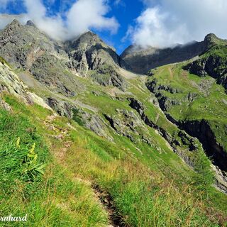 Wir wandern in Serpentinen den blühenden Wiesenhang hinauf.