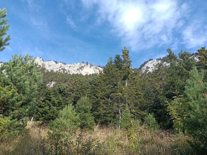 Foto von Bergpirat entlang der Tour