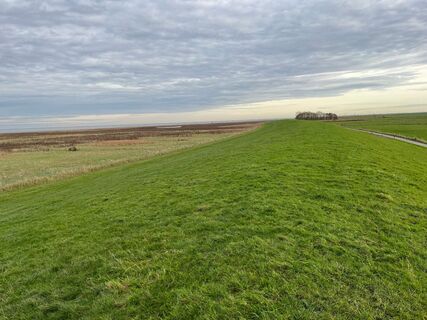 Wandern am Deich zwischen Varel und Dangast