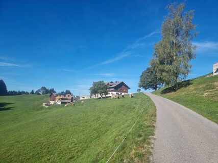 Photo de Felix le long du parcours