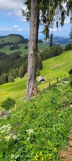 Foto von Ciao Klopfer entlang der Tour