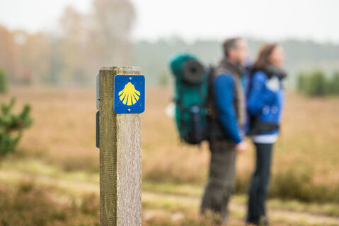 Jacobusweg Lüneburger Heide