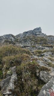 Fotografija s spletne strani Sarah na poti