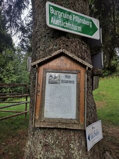 Wegweiser zur Burgruine Pflindsberg