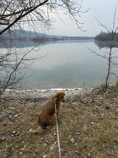 Fotografie z Gerald Heindl na trase