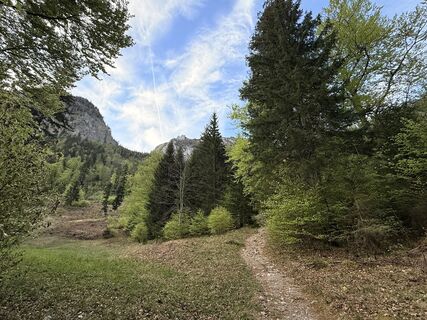 Zdjęcie z Natur_erleben_dg wzdłuż trasy