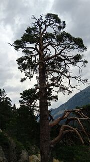Photo de Enkidu55 le long du parcours