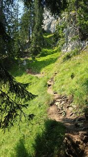 Fotografija s spletne strani Franz-Wilhelm Hefner na poti