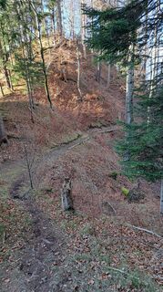 Foto von Meier entlang der Tour