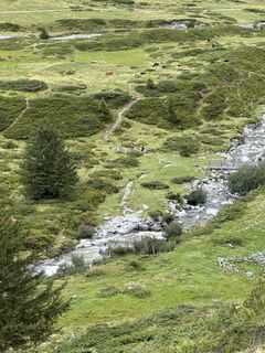 Foto de Bengt Kindlund a lo largo del recorrido