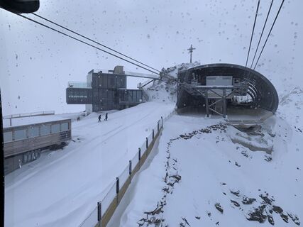 Foto von Ratte entlang der Tour