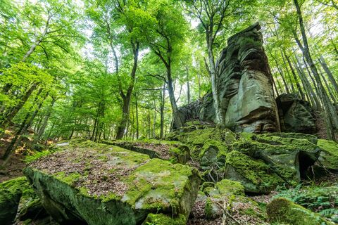 Felsformation Predigtstuhl im NaturWanderPark delux