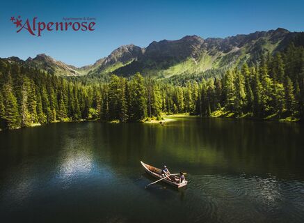 Appartementhaus &amp; Garni Alpenrose