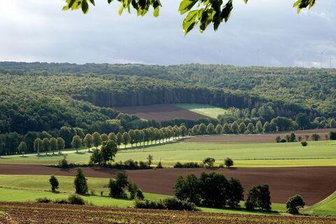 Ausblick Nesselröder Warte