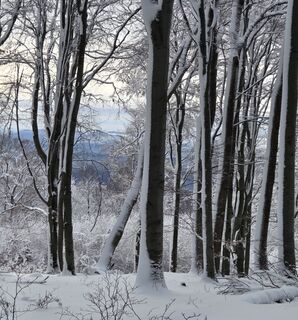 Foto von János Zsolt Mahr entlang der Tour