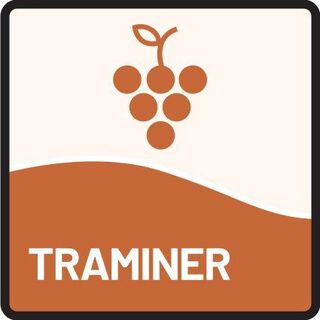 Icon Traminer