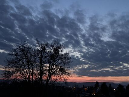 Foto von Linda Geister-Hänsler entlang der Tour