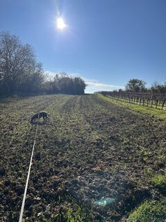 Foto van Car Wanderfreude langs de tour