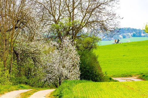 Radeln im LT