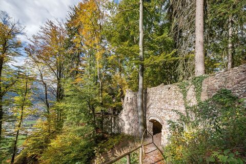 Blick auf die Ruine Rottenberg