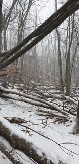 Foto de Georg B. Meier a lo largo del recorrido
