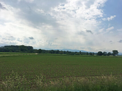 Blick auf den Schwarzwald