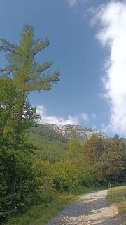 Fotografija s spletne strani Bergpirat na poti