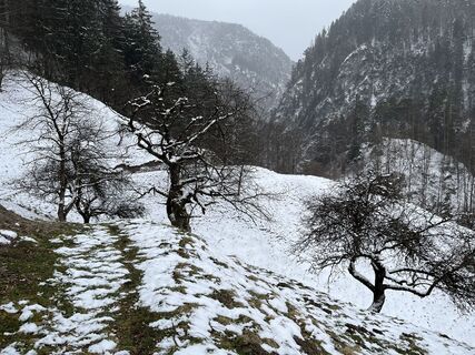 Photo de Manfred Luchner le long du parcours