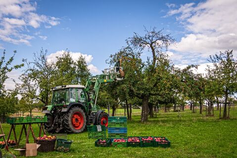 Impressionen vom Obstweg