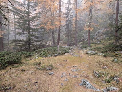 Foto von Leif entlang der Tour