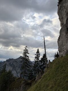 Foto von Volker Föge entlang der Tour
